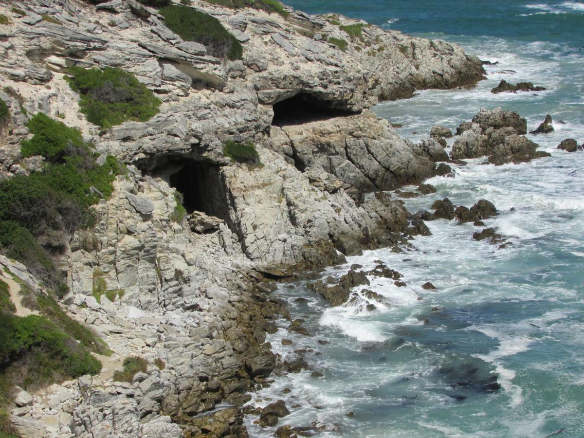 Whale Watch Accommodation De Kelders Extérieur photo